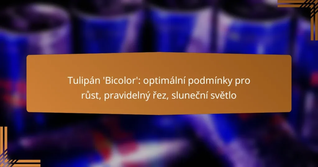 Tulipán ‘Bicolor’: optimální podmínky pro růst, pravidelný řez, sluneční světlo