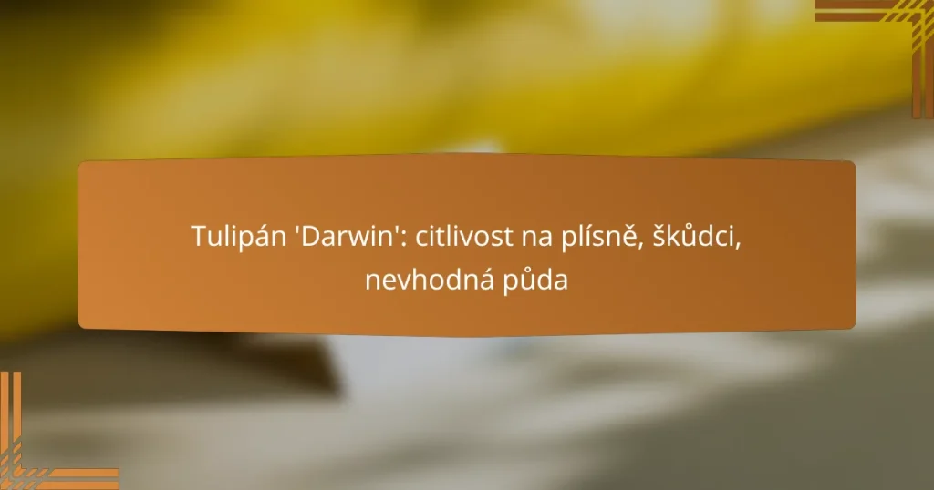 Tulipán ‘Darwin’: citlivost na plísně, škůdci, nevhodná půda