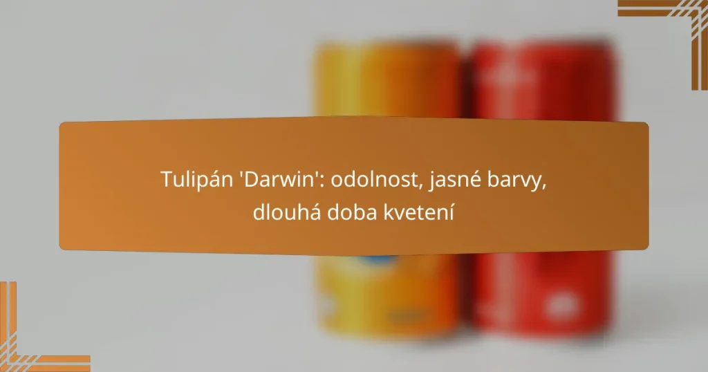 Tulipán ‘Darwin’: odolnost, jasné barvy, dlouhá doba kvetení