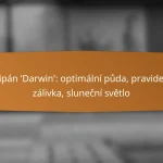 Tulipán ‘Darwin’: optimální půda, pravidelná zálivka, sluneční světlo