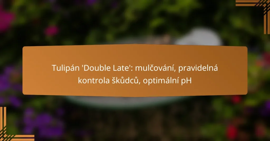Tulipán ‘Double Late’: mulčování, pravidelná kontrola škůdců, optimální pH