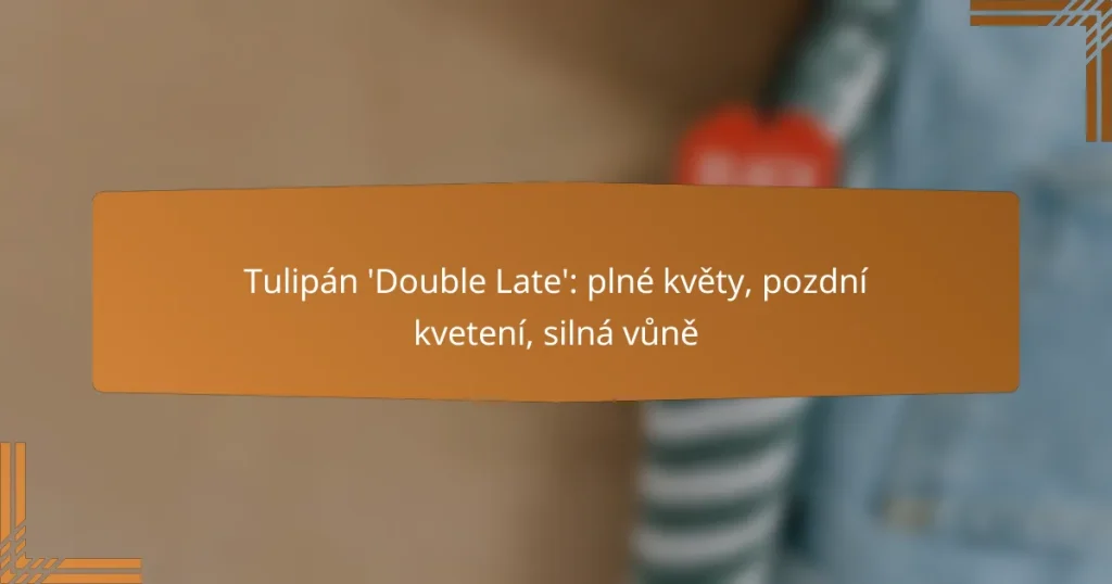 Tulipán ‘Double Late’: plné květy, pozdní kvetení, silná vůně