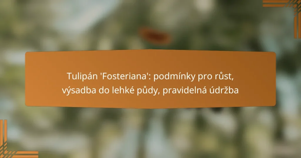 Tulipán ‘Fosteriana’: podmínky pro růst, výsadba do lehké půdy, pravidelná údržba