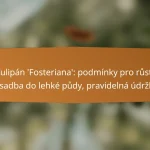 Tulipán ‘Fosteriana’: podmínky pro růst, výsadba do lehké půdy, pravidelná údržba