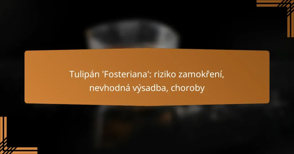 Tulipán ‘Fosteriana’: riziko zamokření, nevhodná výsadba, choroby