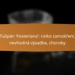 Tulipán ‘Fosteriana’: riziko zamokření, nevhodná výsadba, choroby