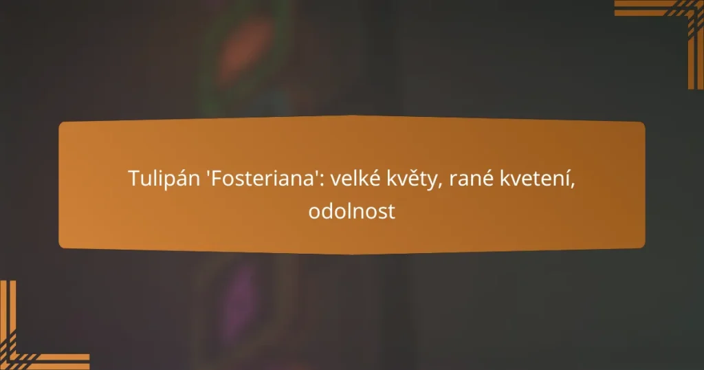 Tulipán ‘Fosteriana’: velké květy, rané kvetení, odolnost