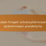 Tulipán ‘Fringed’: ochrana před mrazem, správné hnojení, pravidelný řez