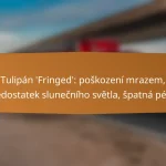 Tulipán ‘Fringed’: poškození mrazem, nedostatek slunečního světla, špatná péče