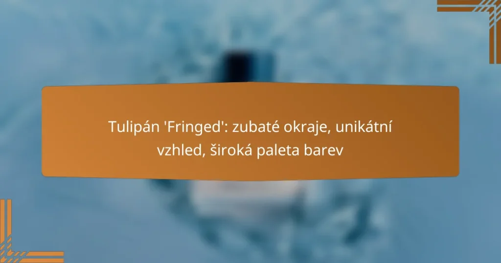 Tulipán ‘Fringed’: zubaté okraje, unikátní vzhled, široká paleta barev