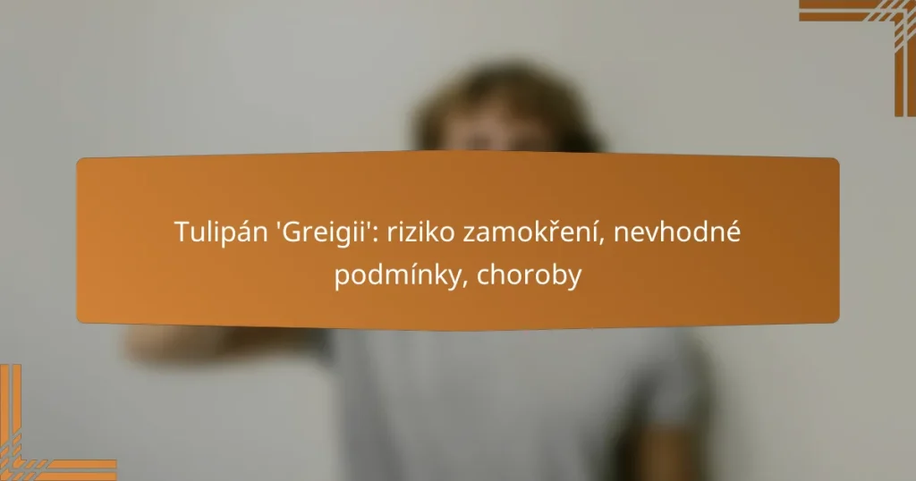 Tulipán ‘Greigii’: riziko zamokření, nevhodné podmínky, choroby