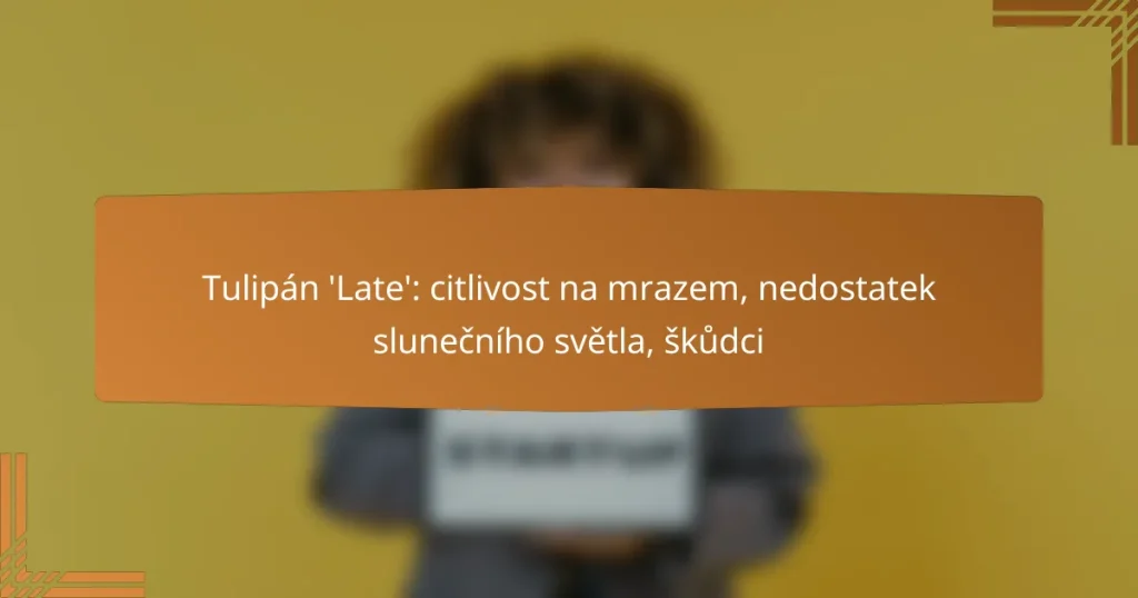 Tulipán ‘Late’: citlivost na mrazem, nedostatek slunečního světla, škůdci