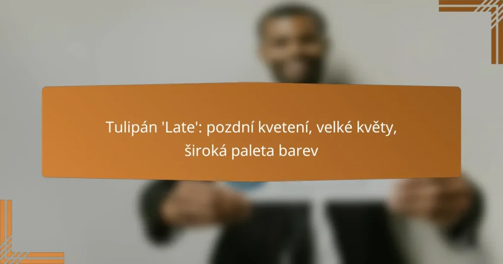 Tulipán ‘Late’: pozdní kvetení, velké květy, široká paleta barev
