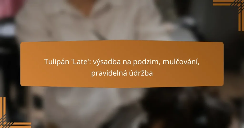 Tulipán ‘Late’: výsadba na podzim, mulčování, pravidelná údržba