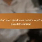 Tulipán ‘Late’: výsadba na podzim, mulčování, pravidelná údržba
