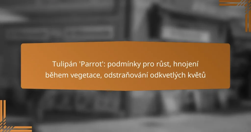 Tulipán ‘Parrot’: podmínky pro růst, hnojení během vegetace, odstraňování odkvetlých květů