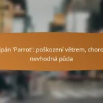 Tulipán ‘Parrot’: poškození větrem, choroby, nevhodná půda