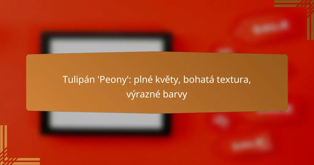 Tulipán ‘Peony’: plné květy, bohatá textura, výrazné barvy