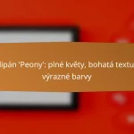 Tulipán ‘Peony’: plné květy, bohatá textura, výrazné barvy