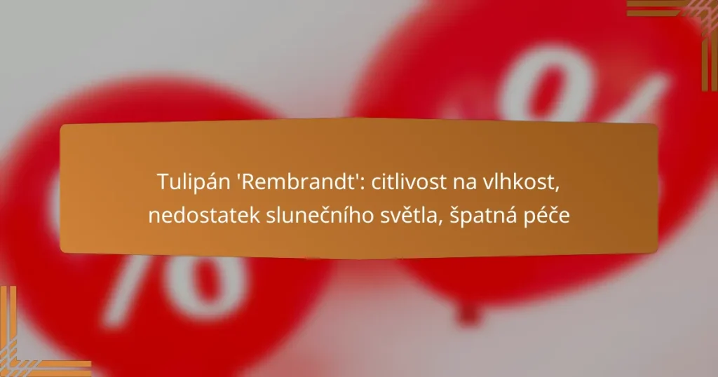 Tulipán ‘Rembrandt’: citlivost na vlhkost, nedostatek slunečního světla, špatná péče
