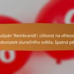 Tulipán ‘Rembrandt’: citlivost na vlhkost, nedostatek slunečního světla, špatná péče