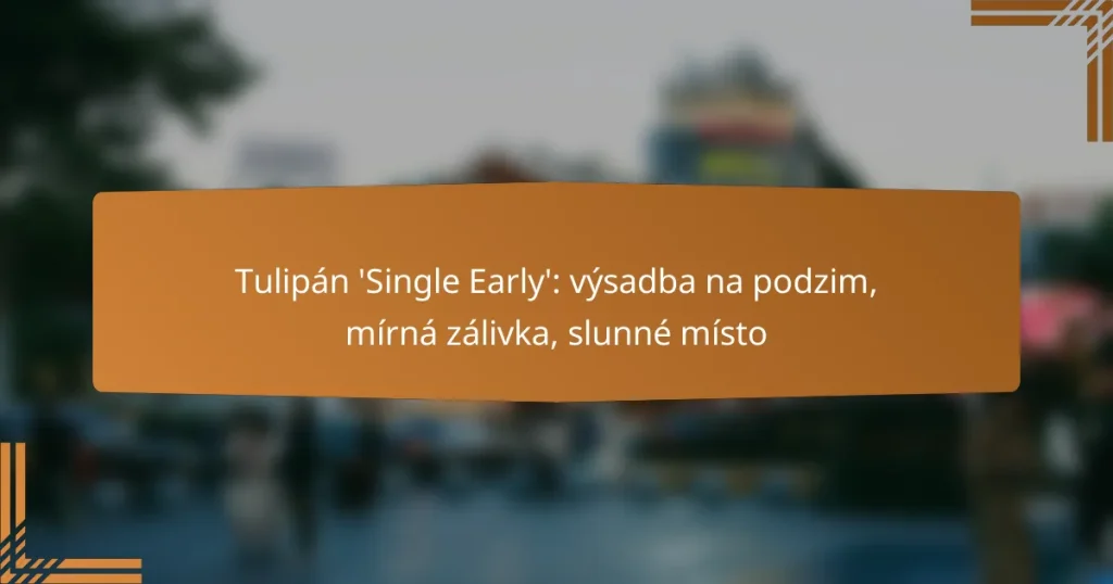 Tulipán ‘Single Early’: výsadba na podzim, mírná zálivka, slunné místo