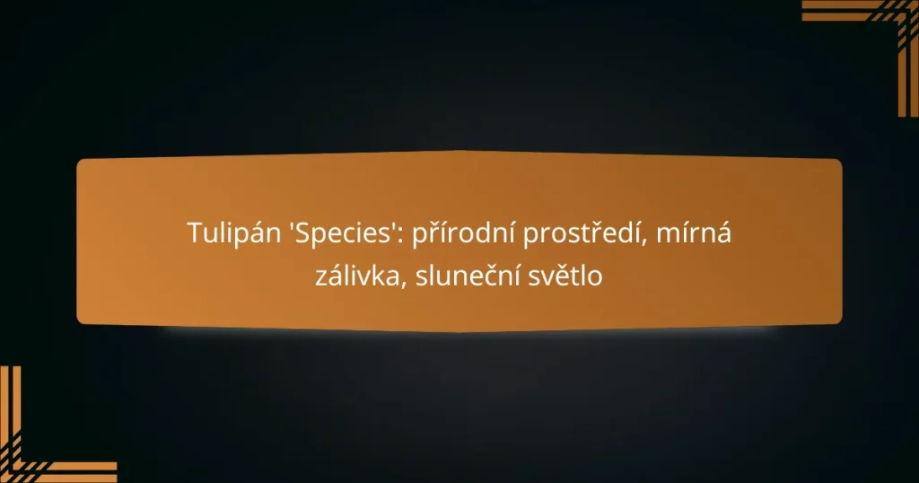 Tulipán ‘Species’: přírodní prostředí, mírná zálivka, sluneční světlo