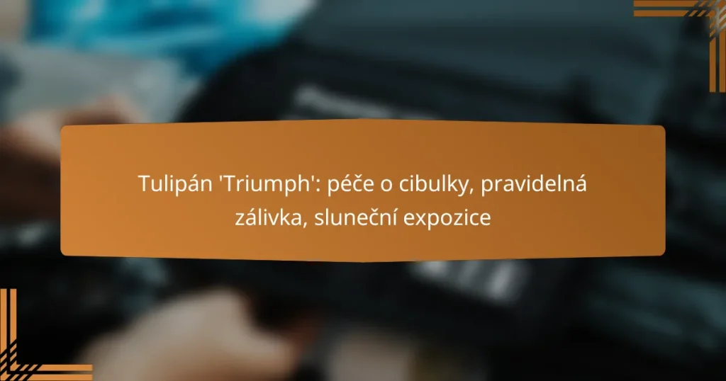 Tulipán ‘Triumph’: péče o cibulky, pravidelná zálivka, sluneční expozice