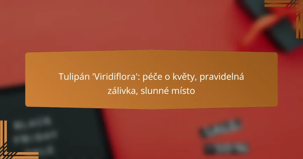 Tulipán ‘Viridiflora’: péče o květy, pravidelná zálivka, slunné místo