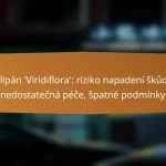 Tulipán ‘Viridiflora’: riziko napadení škůdci, nedostatečná péče, špatné podmínky