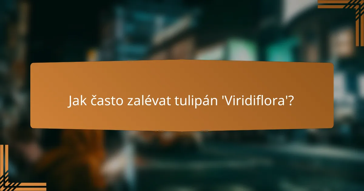 Jak často zalévat tulipán 'Viridiflora'?
