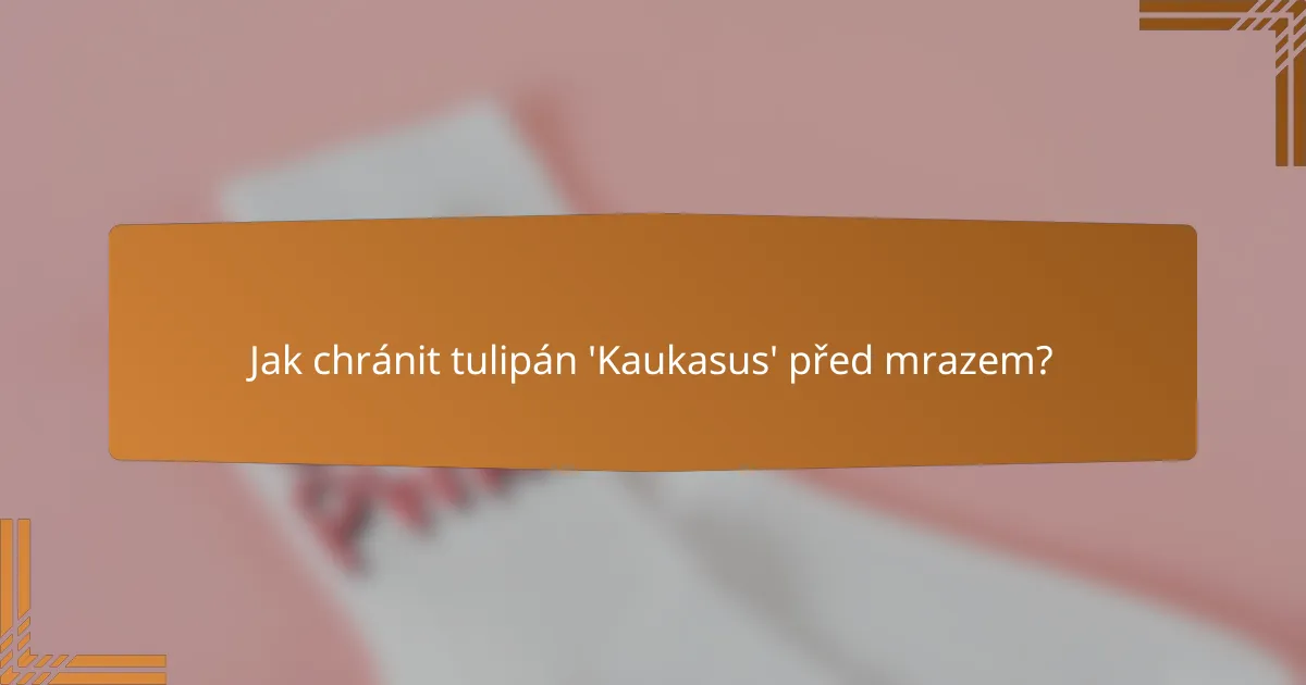 Jak chránit tulipán 'Kaukasus' před mrazem?
