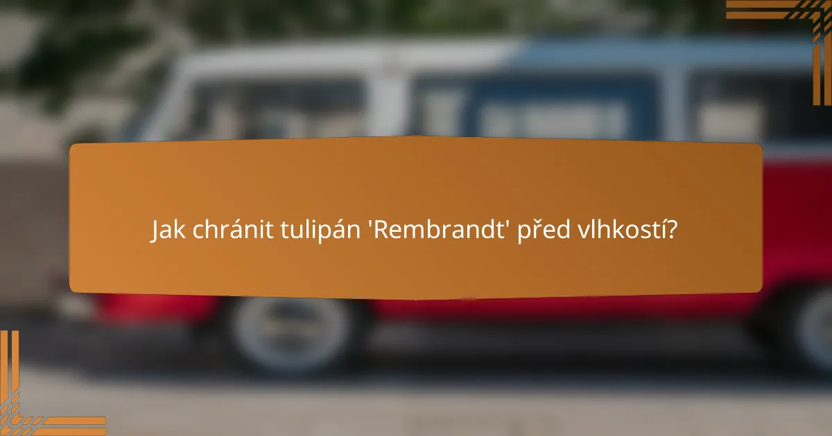 Jak chránit tulipán 'Rembrandt' před vlhkostí?