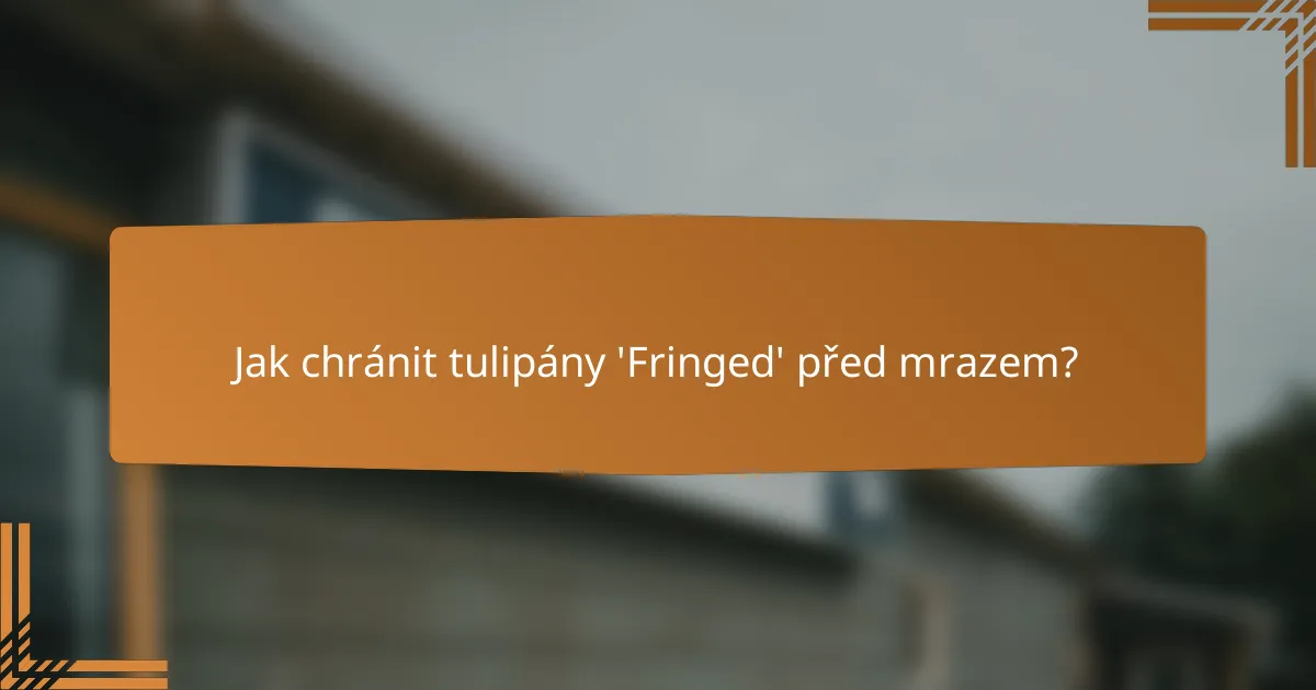 Jak chránit tulipány 'Fringed' před mrazem?