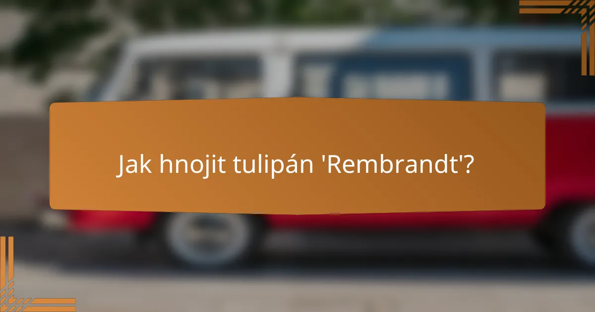 Jak hnojit tulipán 'Rembrandt'?