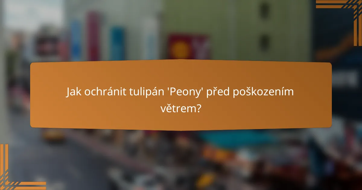Jak ochránit tulipán 'Peony' před poškozením větrem?