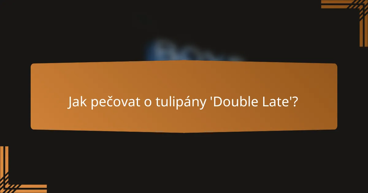 Jak pečovat o tulipány 'Double Late'?