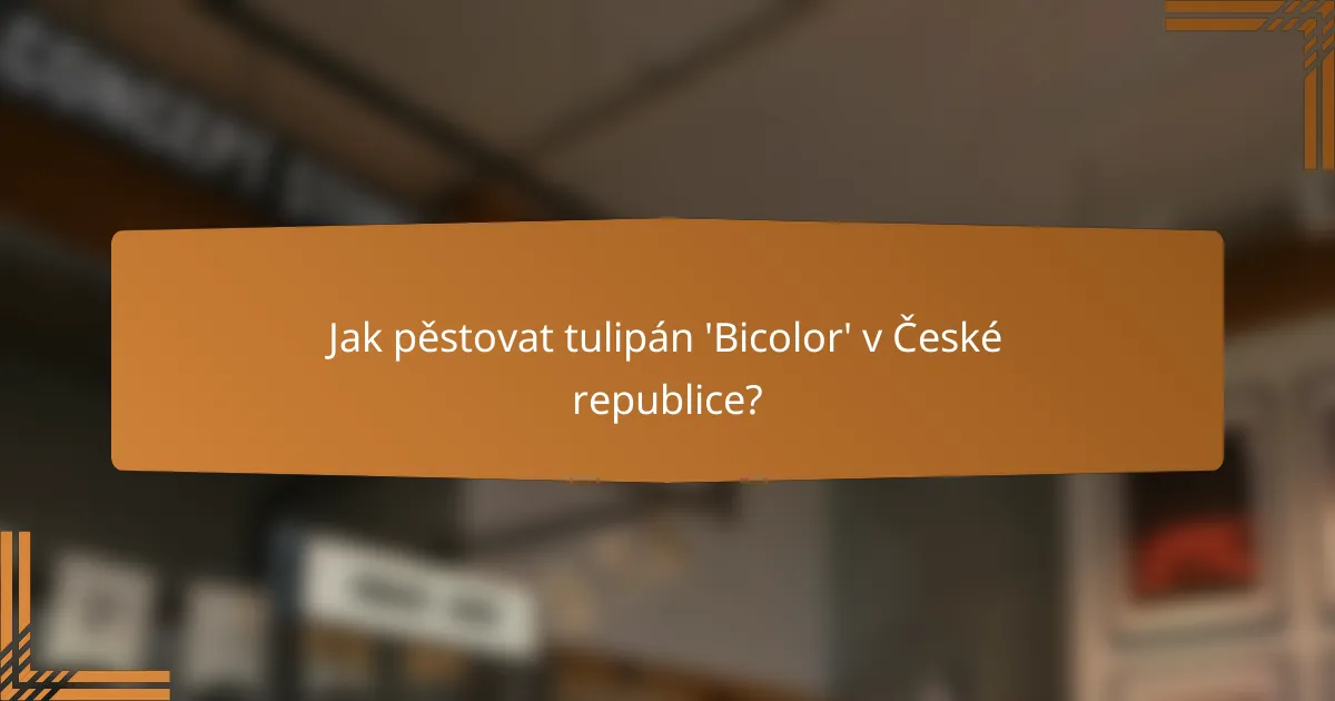 Jak pěstovat tulipán 'Bicolor' v České republice?