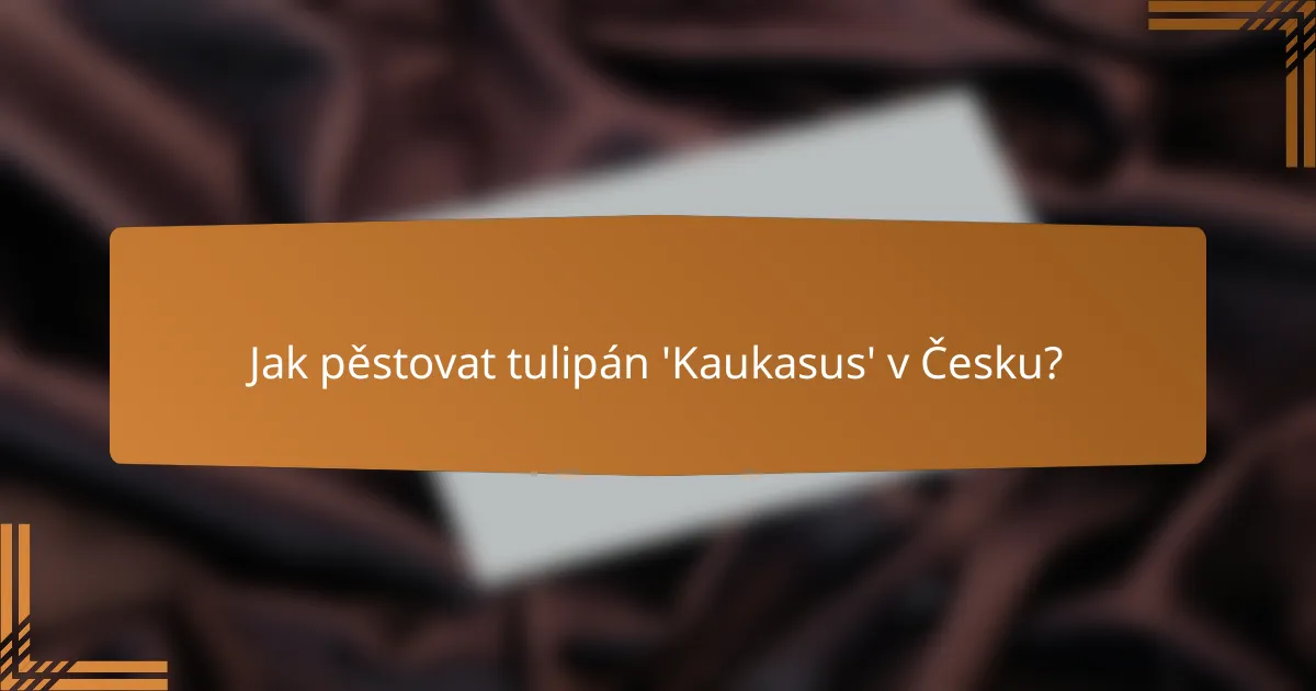 Jak pěstovat tulipán 'Kaukasus' v Česku?