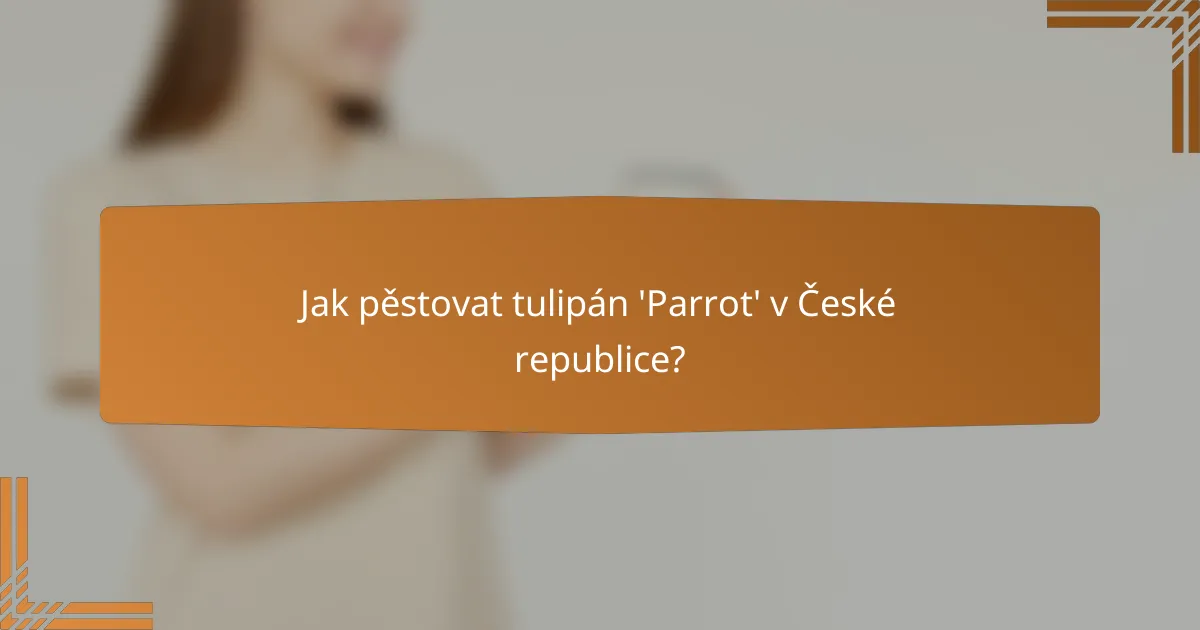Jak pěstovat tulipán 'Parrot' v České republice?