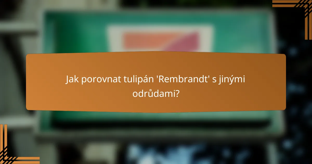 Jak porovnat tulipán 'Rembrandt' s jinými odrůdami?