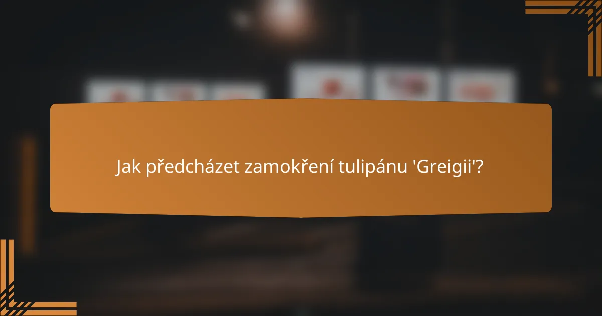 Jak předcházet zamokření tulipánu 'Greigii'?