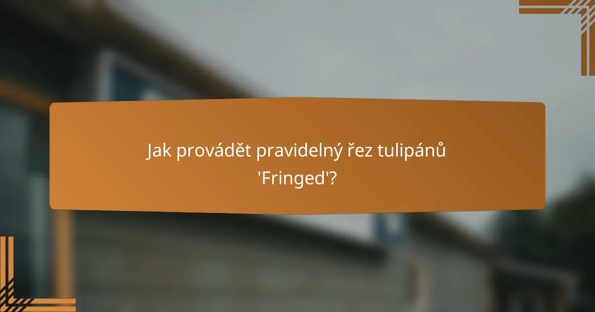 Jak provádět pravidelný řez tulipánů 'Fringed'?