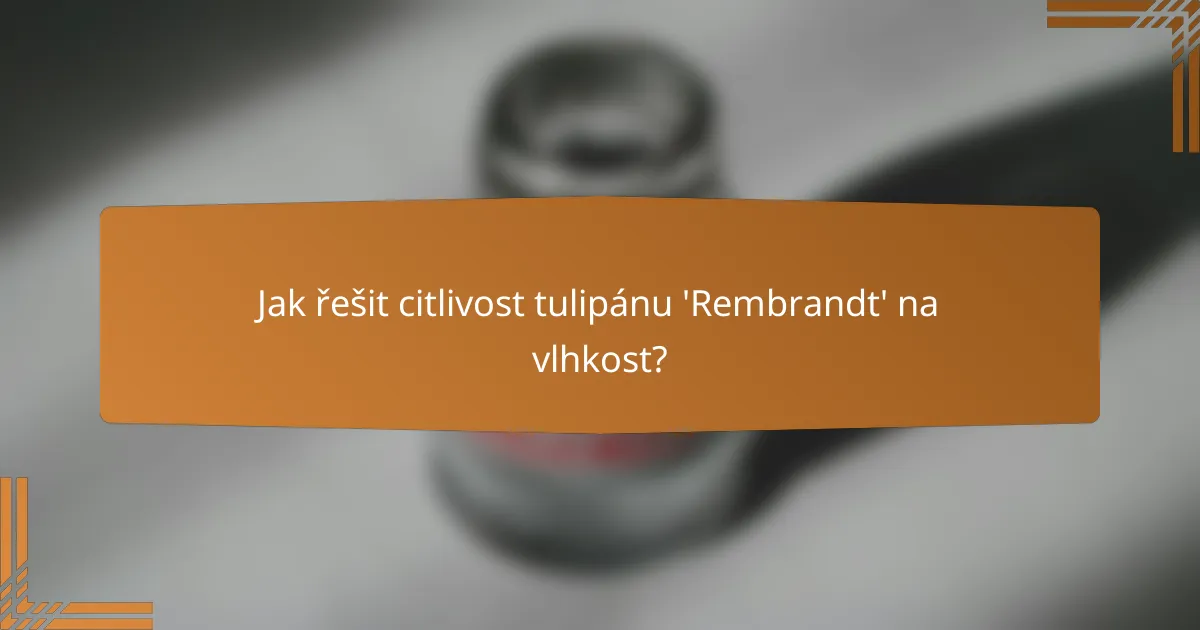 Jak řešit citlivost tulipánu 'Rembrandt' na vlhkost?