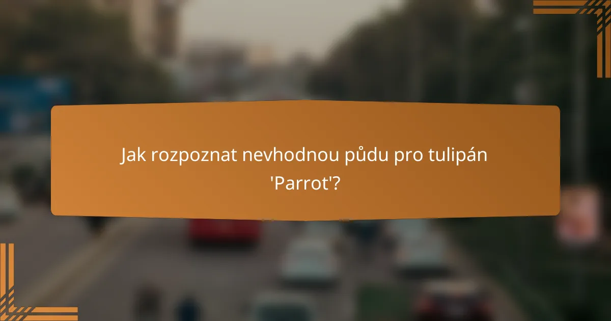 Jak rozpoznat nevhodnou půdu pro tulipán 'Parrot'?