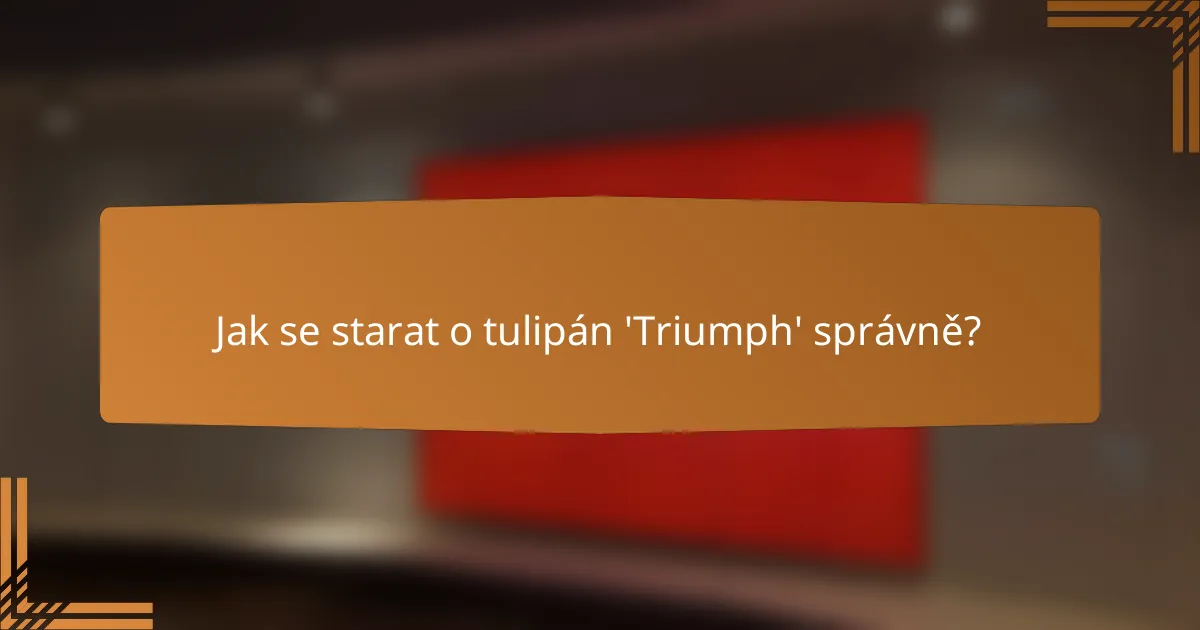 Jak se starat o tulipán 'Triumph' správně?