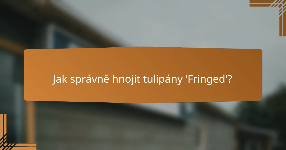 Jak správně hnojit tulipány 'Fringed'?