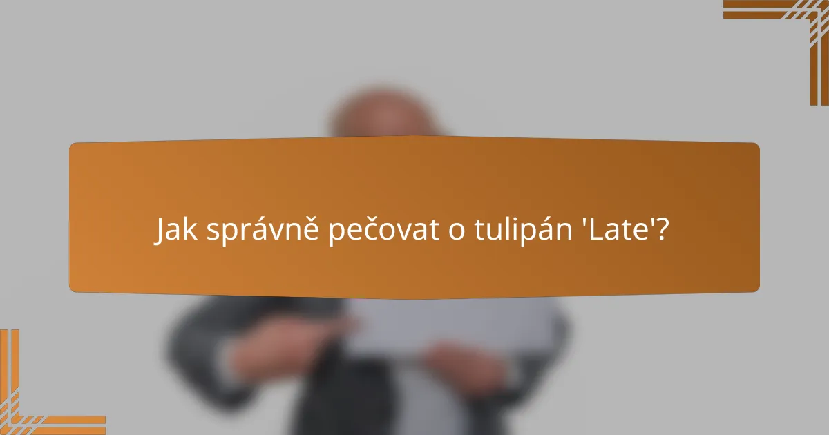 Jak správně pečovat o tulipán 'Late'?