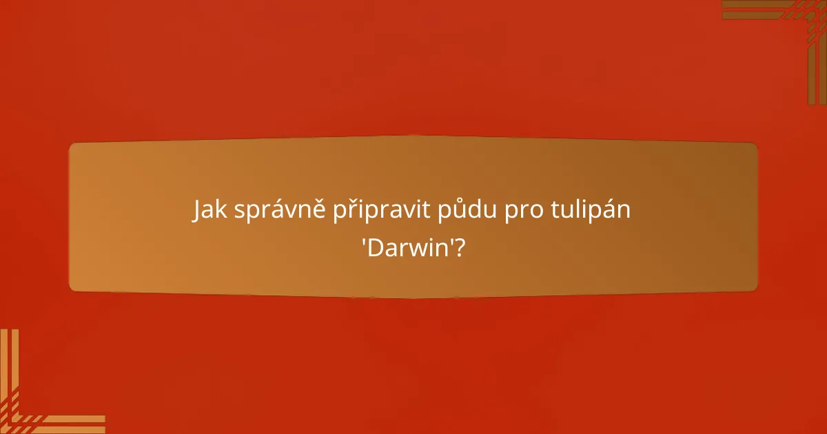 Jak správně připravit půdu pro tulipán 'Darwin'?
