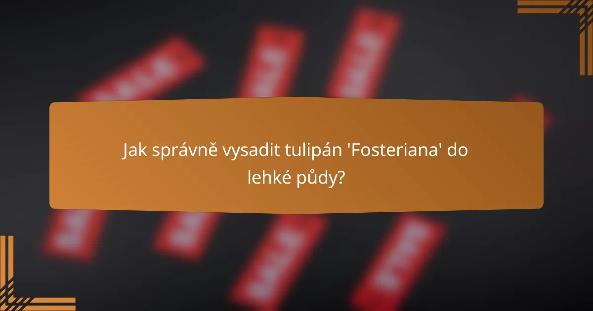 Jak správně vysadit tulipán 'Fosteriana' do lehké půdy?